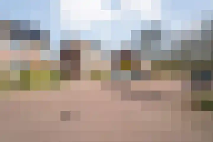 Wilgenstuk 11 Hardenberg thumbnail 11
