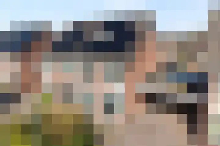 Wilgenstuk 11 Hardenberg thumbnail 5