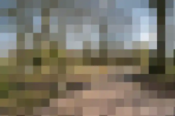 Wilgenstuk 11 Hardenberg thumbnail 55