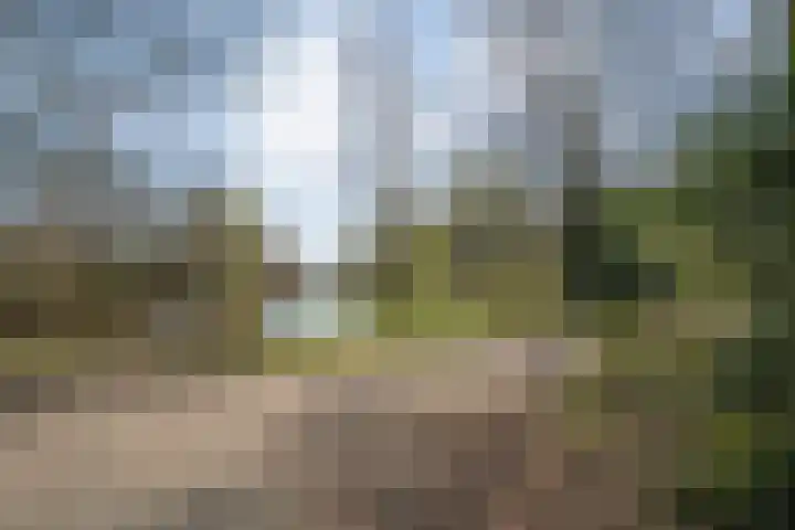 Wilgenstuk 11 Hardenberg thumbnail 56