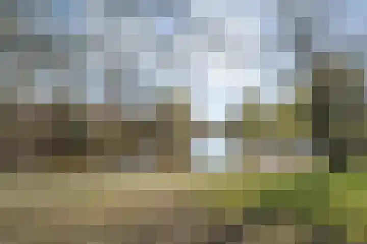 Wilgenstuk 11 Hardenberg thumbnail 57