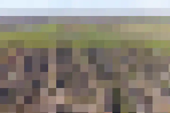 Wilgenstuk 11 Hardenberg thumbnail 9