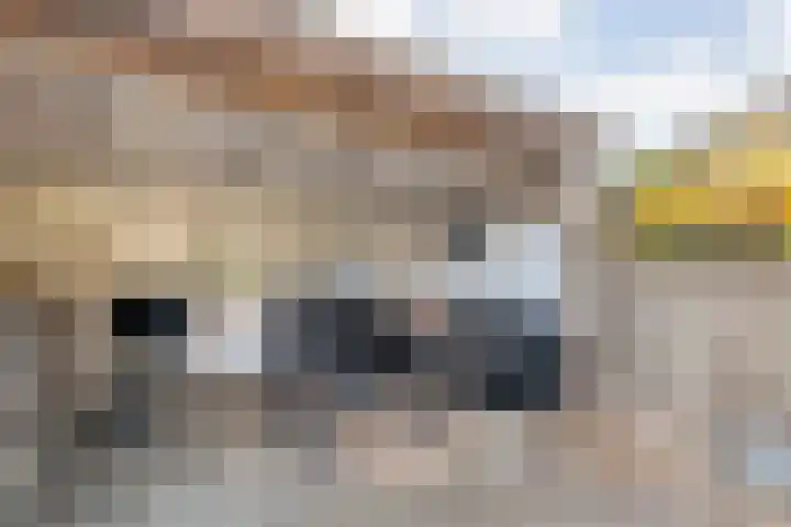 Wilgenstuk 44 Hardenberg thumbnail 37