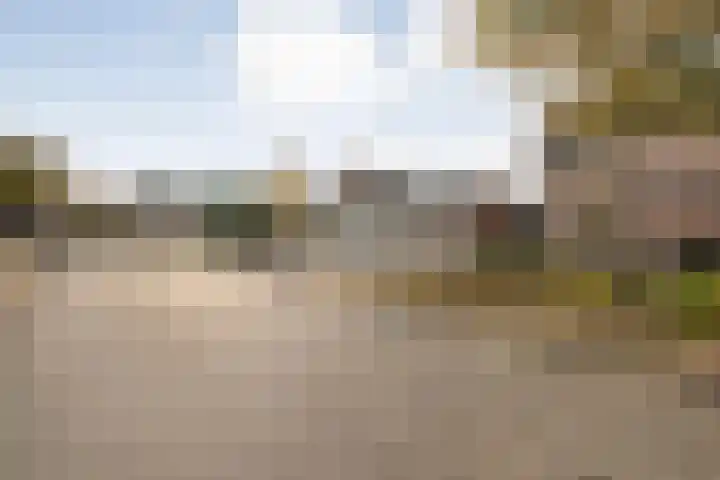 Wilgenstuk 44 Hardenberg thumbnail 4