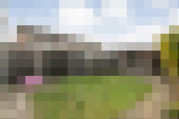 Wilgenstuk 44 Hardenberg thumbnail 40