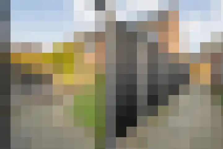 Wilgenstuk 44 Hardenberg thumbnail 41