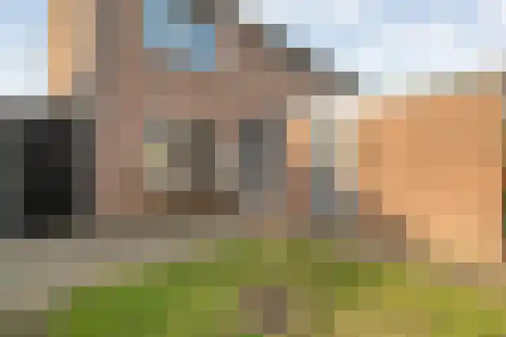 Wilgenstuk 44 Hardenberg thumbnail 5