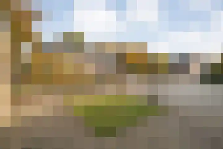 Wilgenstuk 44 Hardenberg thumbnail 7