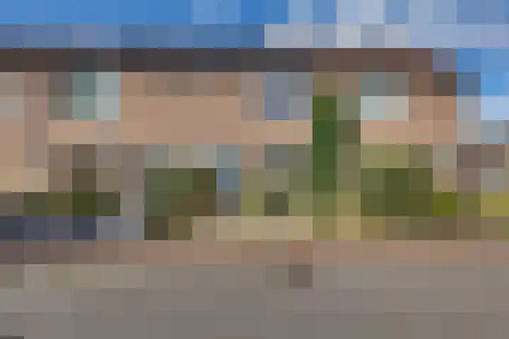 Wilgenstuk 48 in Hardenberg