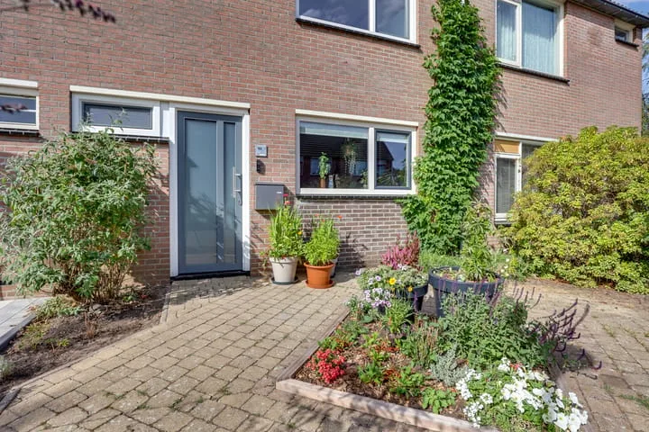 Wilgenstuk 48 Hardenberg thumbnail 5
