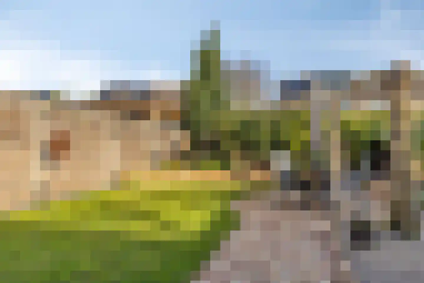 Wilgenstuk 7 Hardenberg thumbnail 26