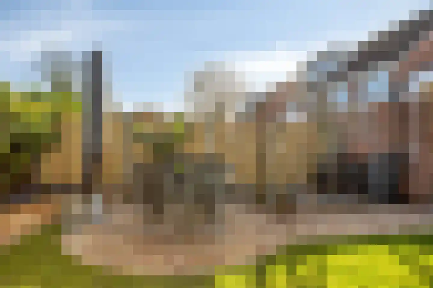 Wilgenstuk 7 Hardenberg thumbnail 27