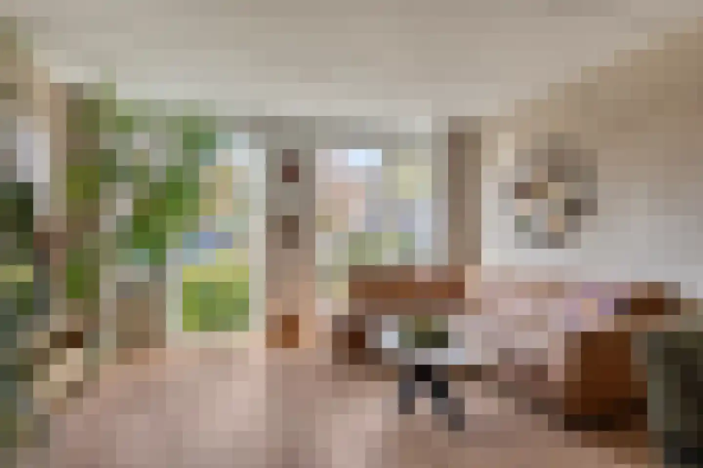 Wilgenstuk 7 Hardenberg thumbnail 8