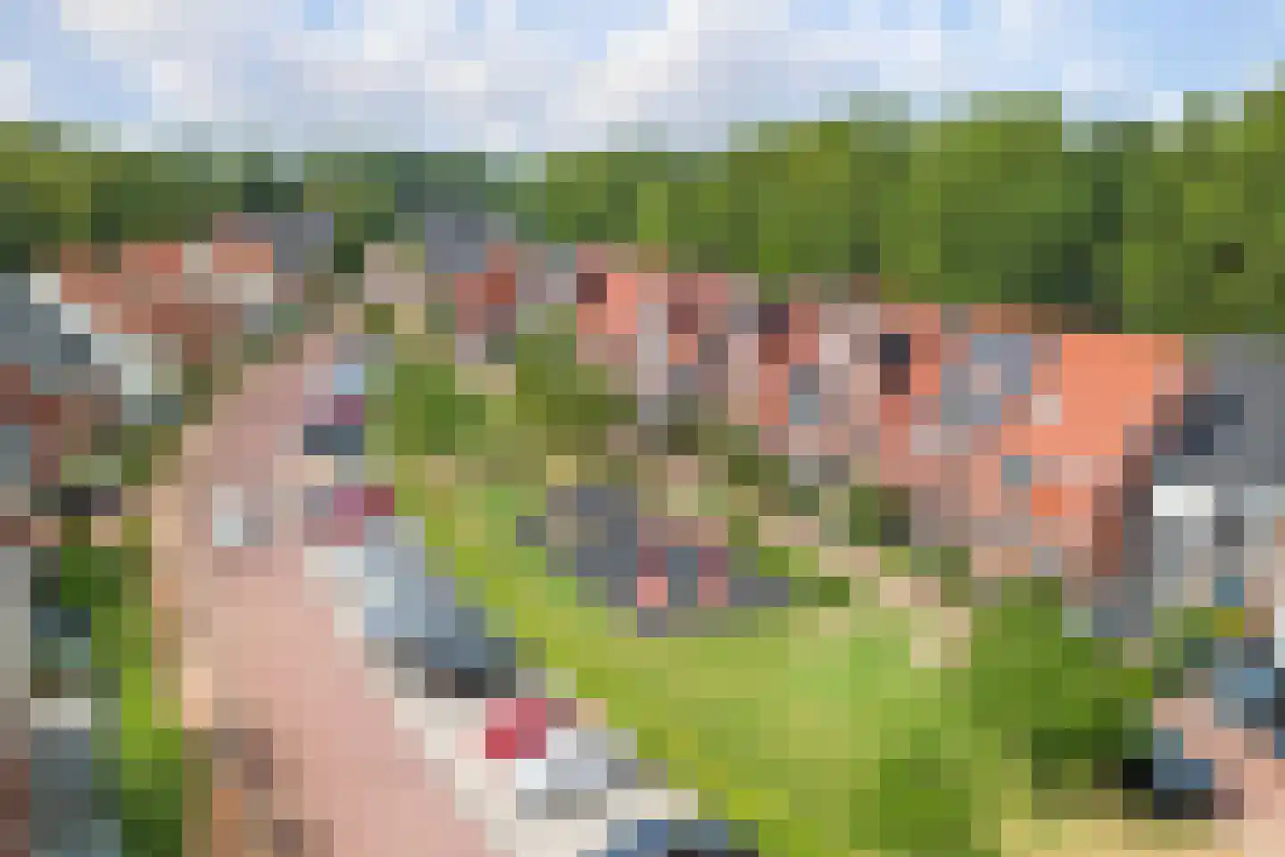 Wilgentuinen 16 Rozenburg thumbnail 6
