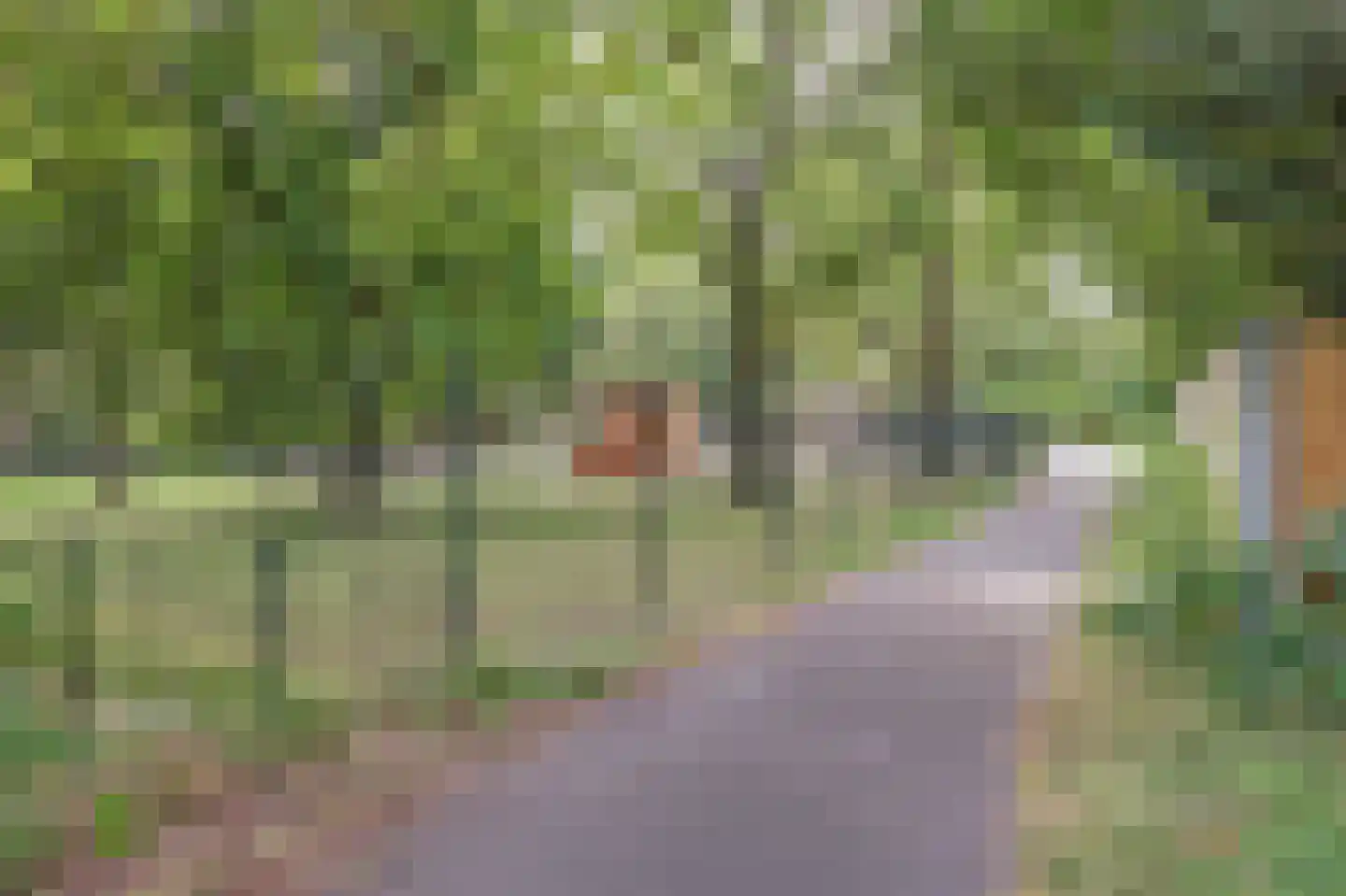 Wilgentuinen 16 Rozenburg thumbnail 61