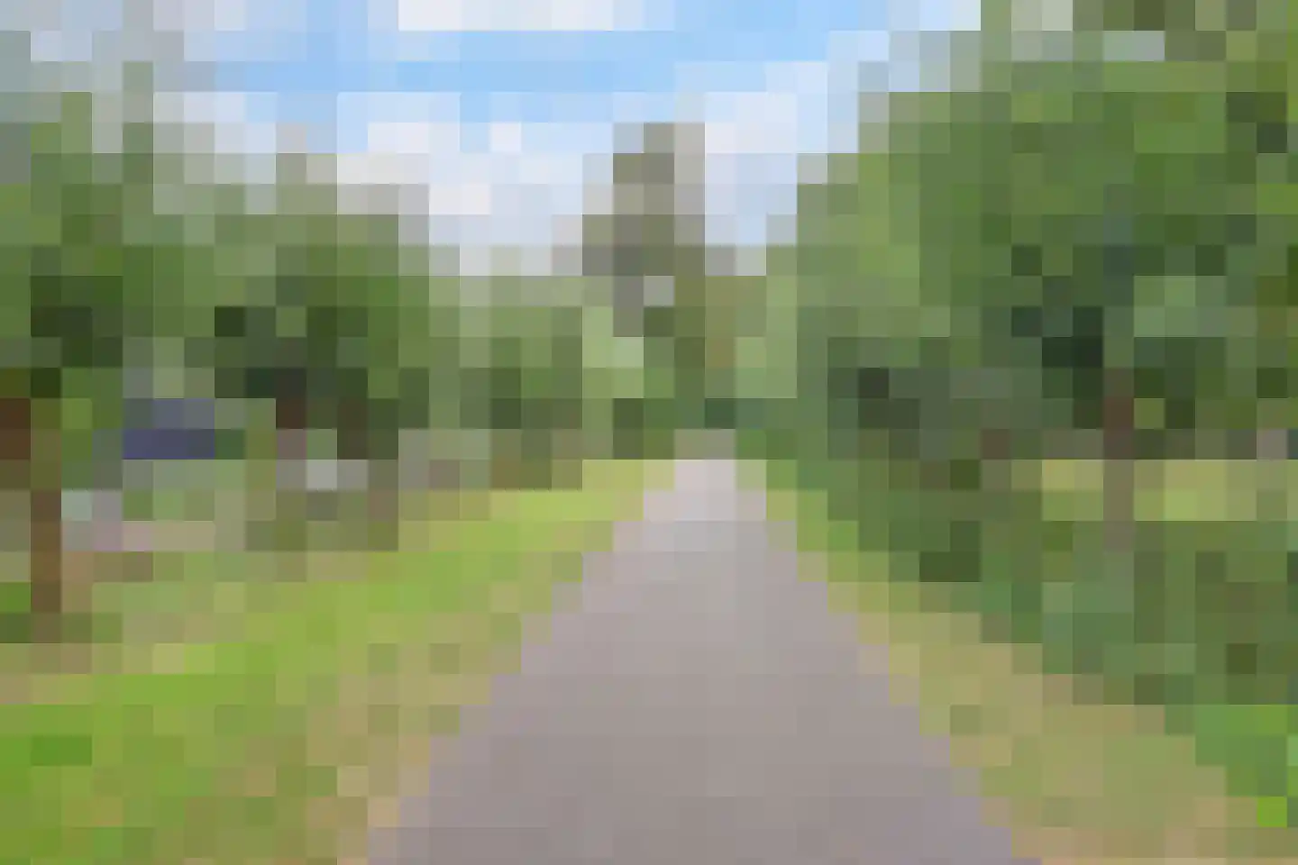 Wilgentuinen 16 Rozenburg thumbnail 62