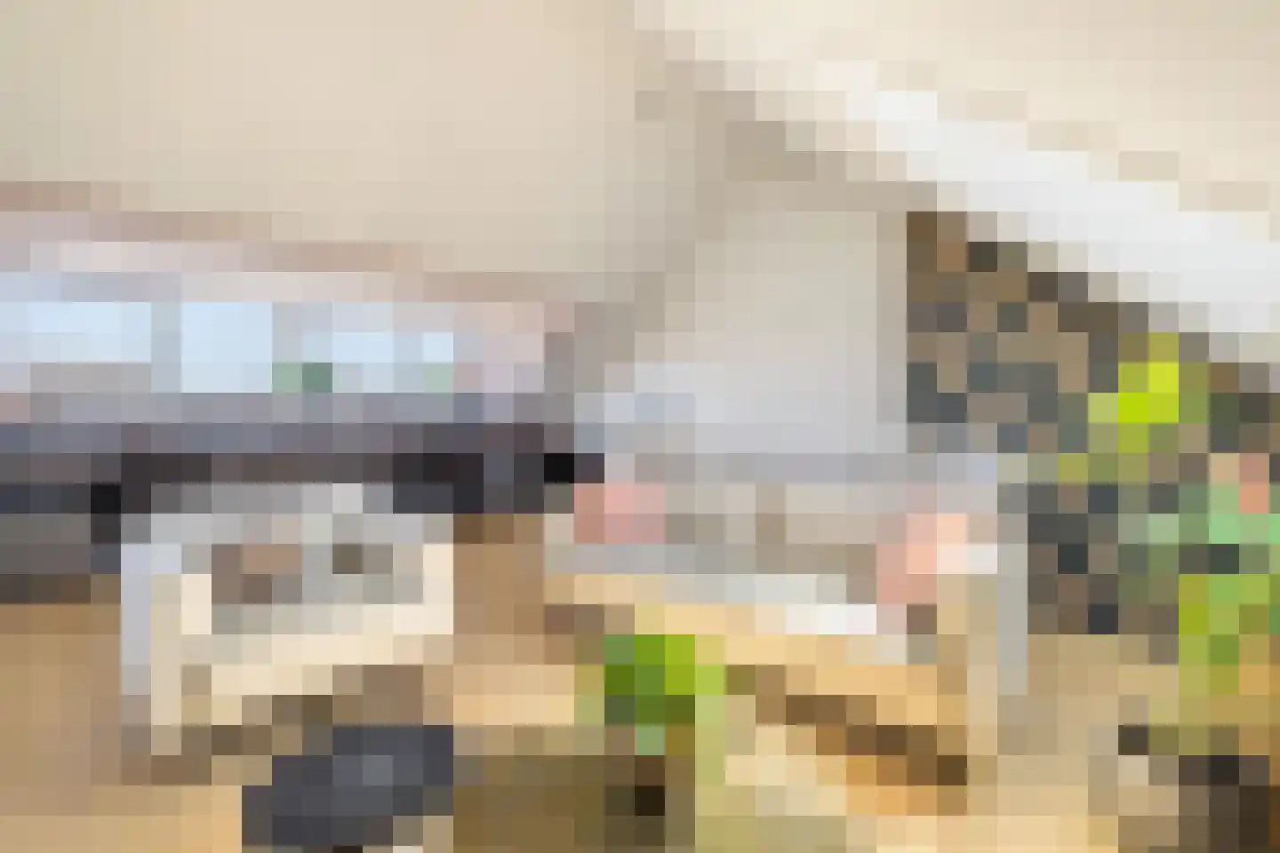 Wilgenveld 20 Teteringen thumbnail 31