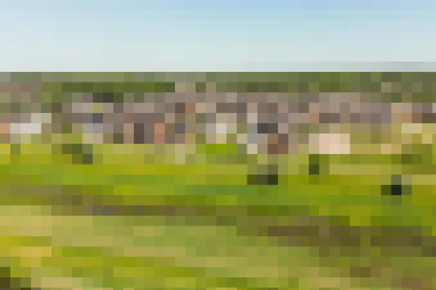 Wilgenveld 20 Teteringen thumbnail 43