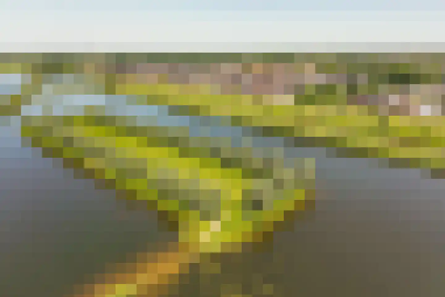 Wilgenveld 20 Teteringen thumbnail 44