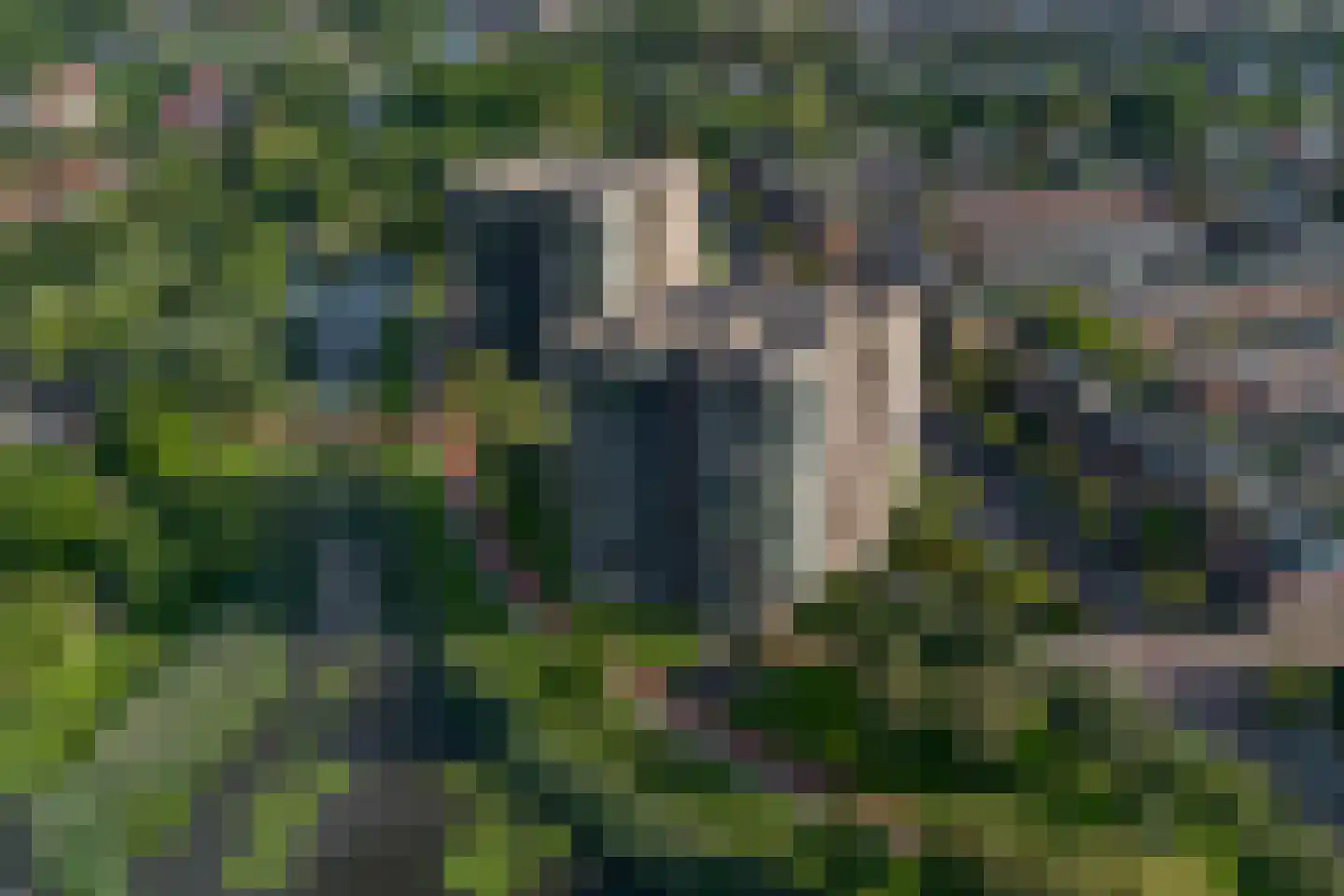 Wilgenwede 37 Barendrecht thumbnail 30