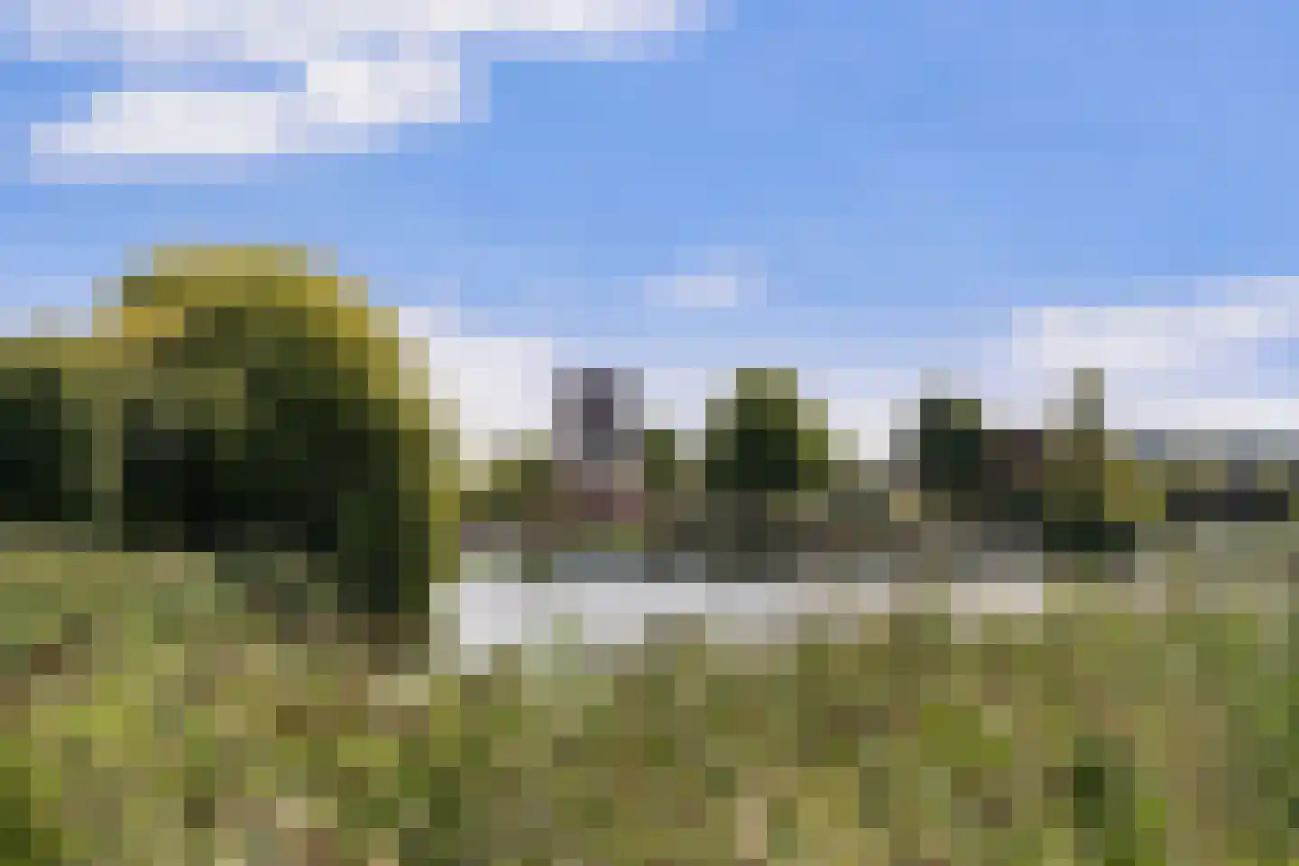 Wilgenwede 37 Barendrecht thumbnail 35