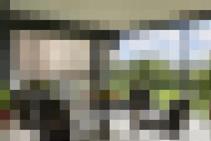 Wilgenwede 9 Barendrecht thumbnail 20