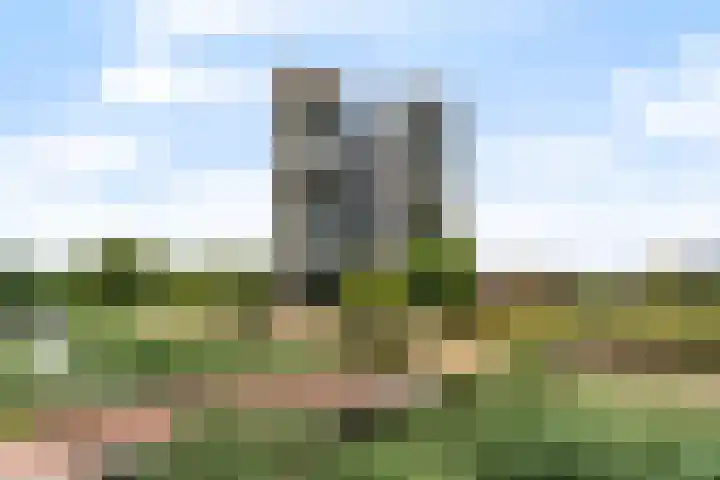 Wilgenwede 9 Barendrecht thumbnail 23