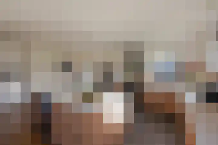 Wilgenweg 11 Pijnacker thumbnail 18