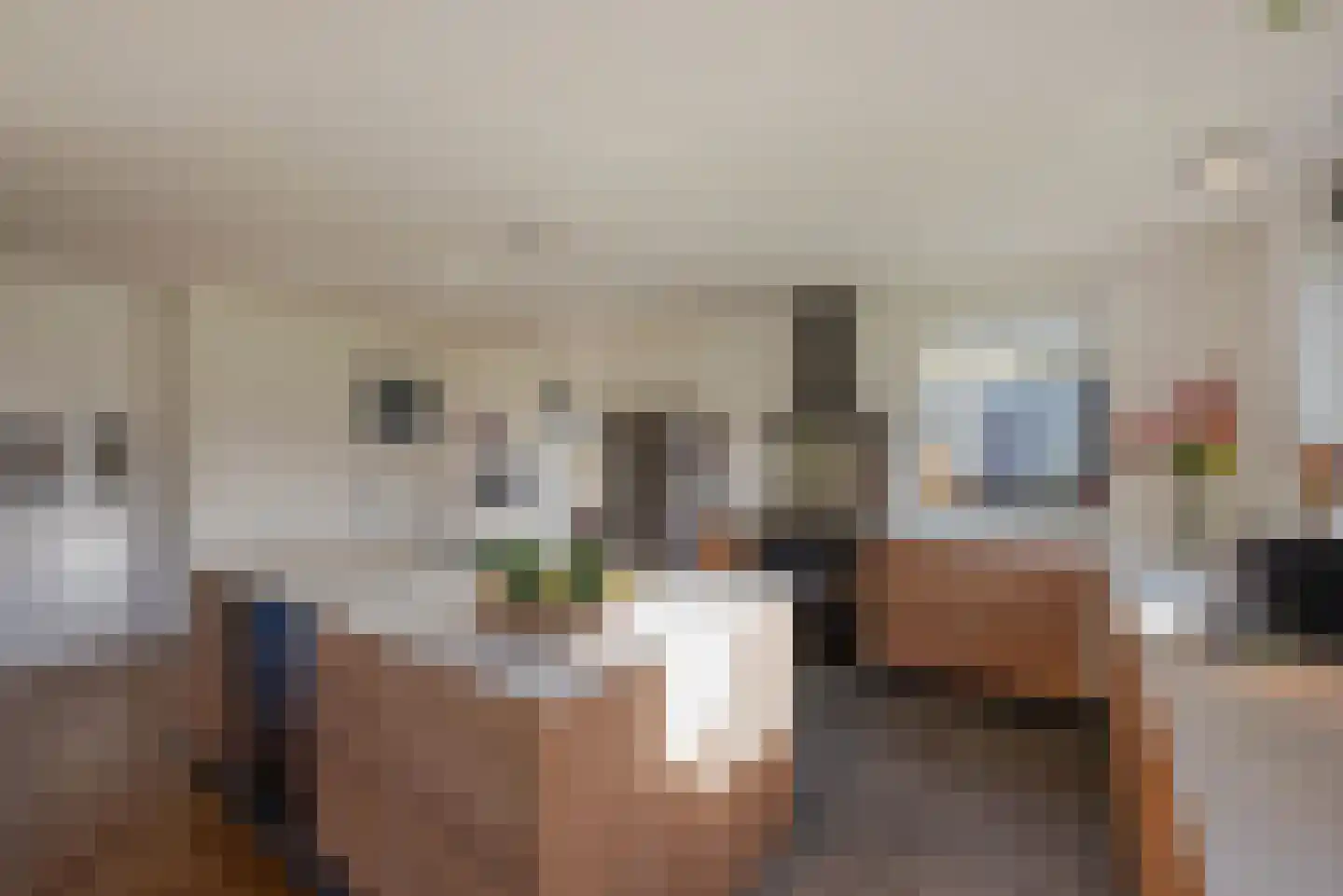 Wilgenweg 11 Pijnacker thumbnail 18