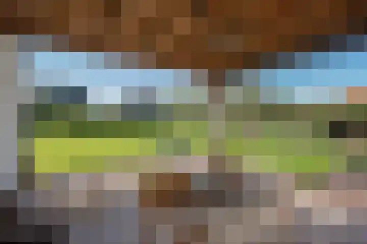 Wilgenweg 11 Pijnacker thumbnail 25