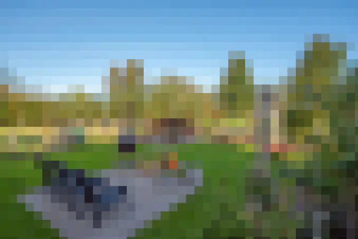 Wilgenweg 11 Pijnacker thumbnail 30