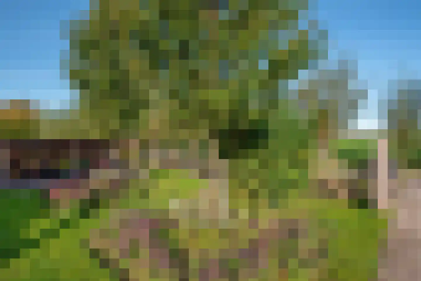 Wilgenweg 11 Pijnacker thumbnail 35