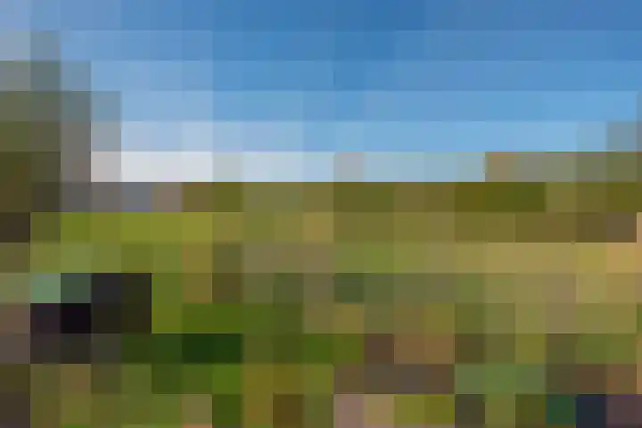Wilgenweg 11 Pijnacker thumbnail 36