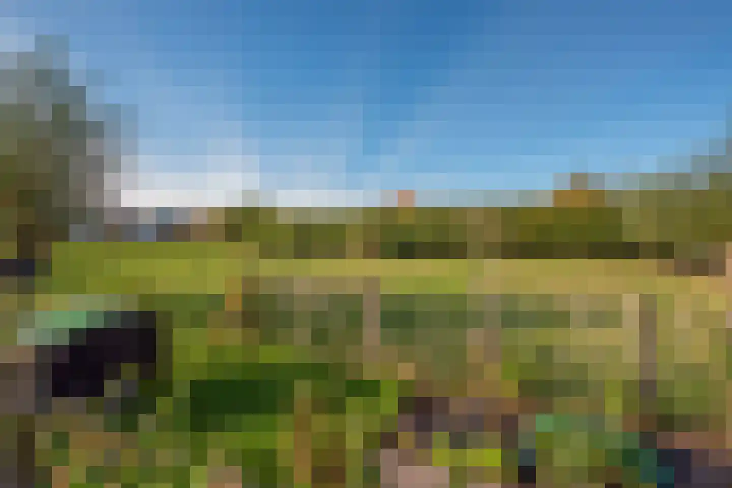 Wilgenweg 11 Pijnacker thumbnail 36