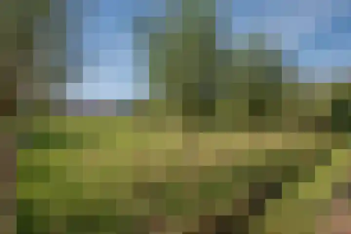 Wilgenweg 11 Pijnacker thumbnail 37