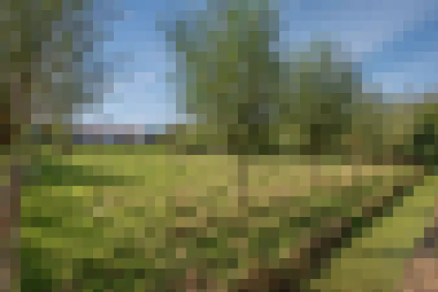 Wilgenweg 11 Pijnacker thumbnail 37