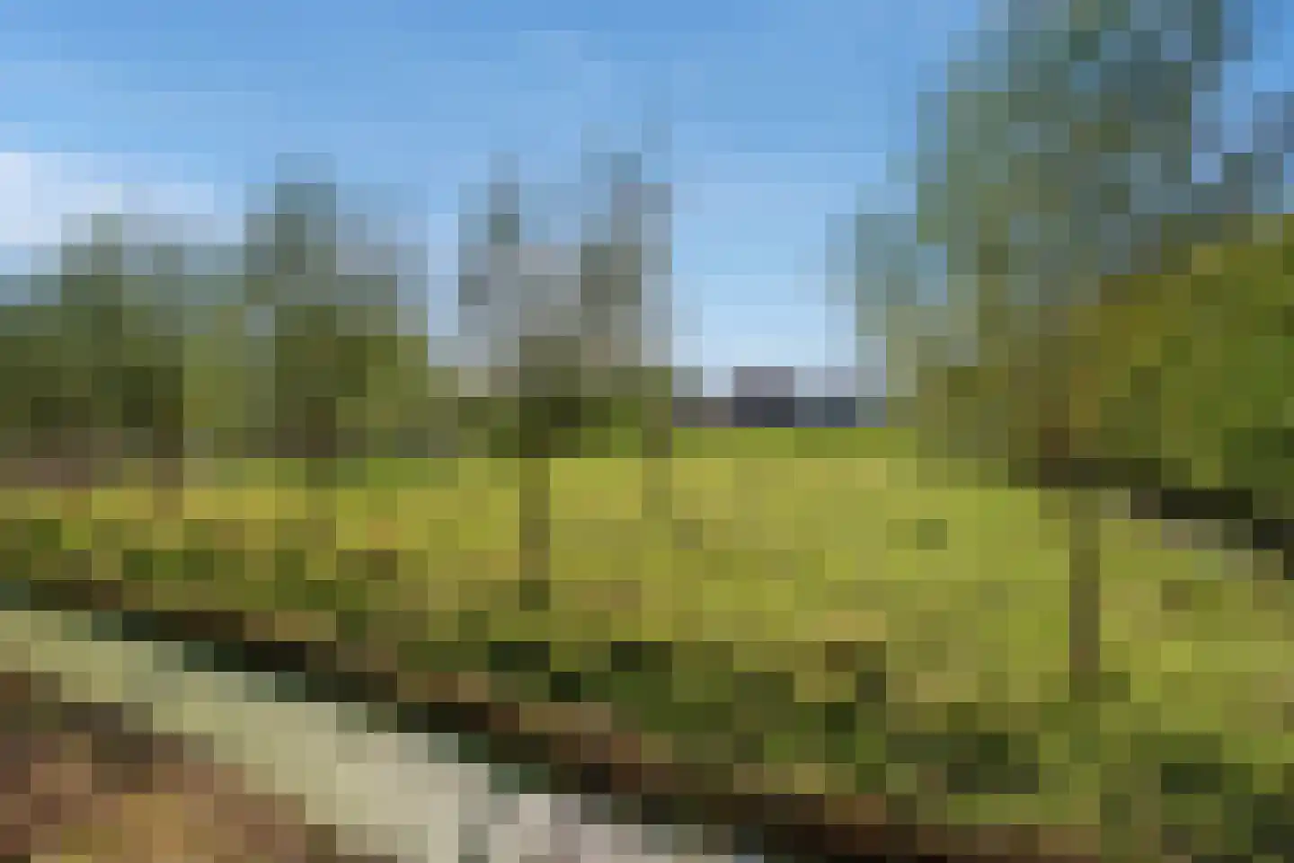 Wilgenweg 11 Pijnacker thumbnail 38