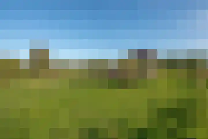 Wilgenweg 11 Pijnacker thumbnail 39