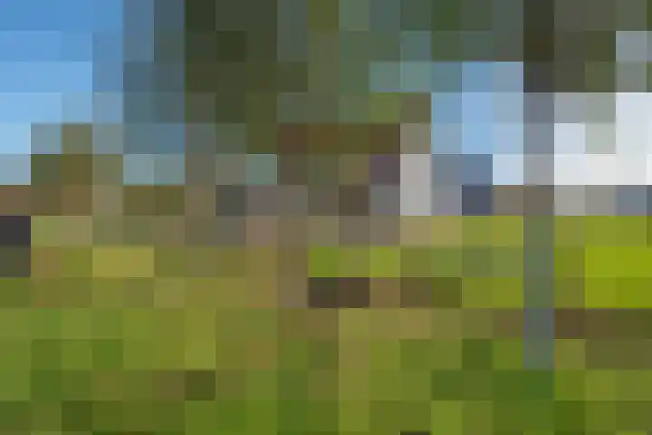 Wilgenweg 11 Pijnacker thumbnail 40