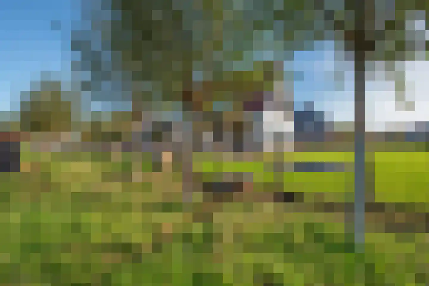 Wilgenweg 11 Pijnacker thumbnail 40