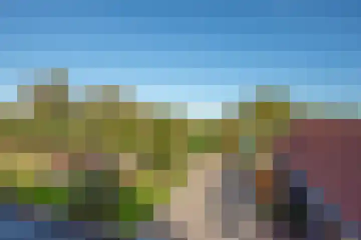 Wilgenweg 11 Pijnacker thumbnail 56