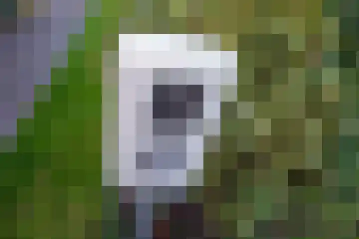 Wilgenweg 11 Pijnacker thumbnail 64