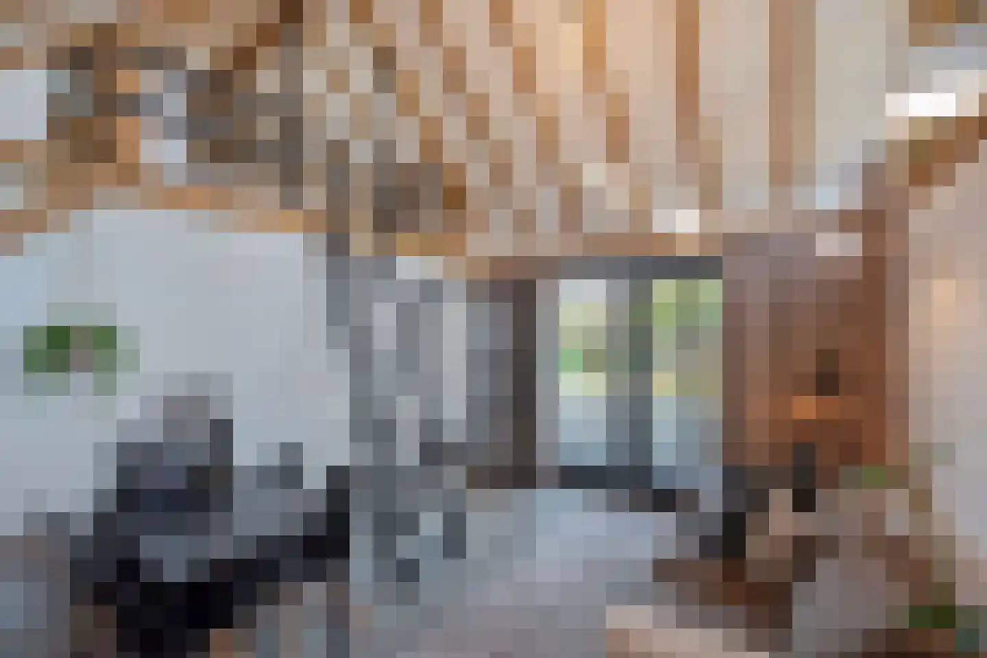 Wilgenweg 11 Pijnacker thumbnail 69