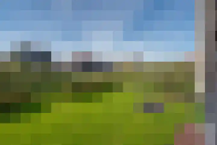 Wilgenweg 11 Pijnacker thumbnail 76