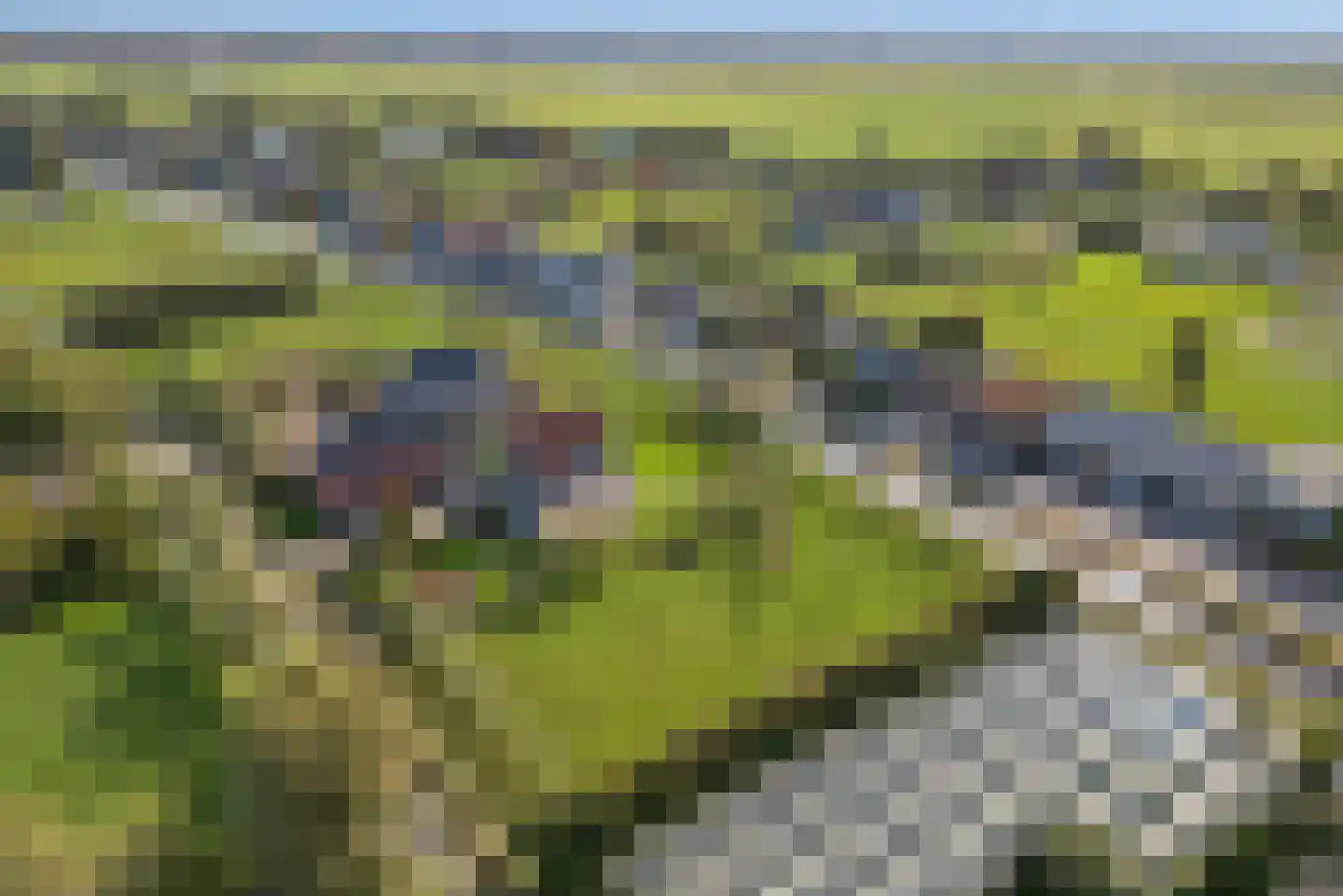 Wilgenweg 11 Pijnacker thumbnail 78