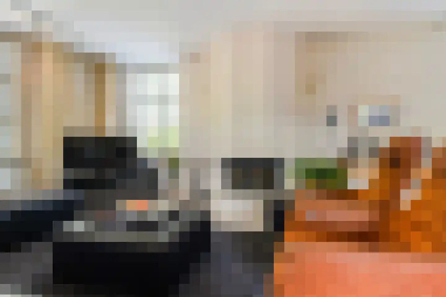 Wilgenweg 3 Waalwijk thumbnail 13