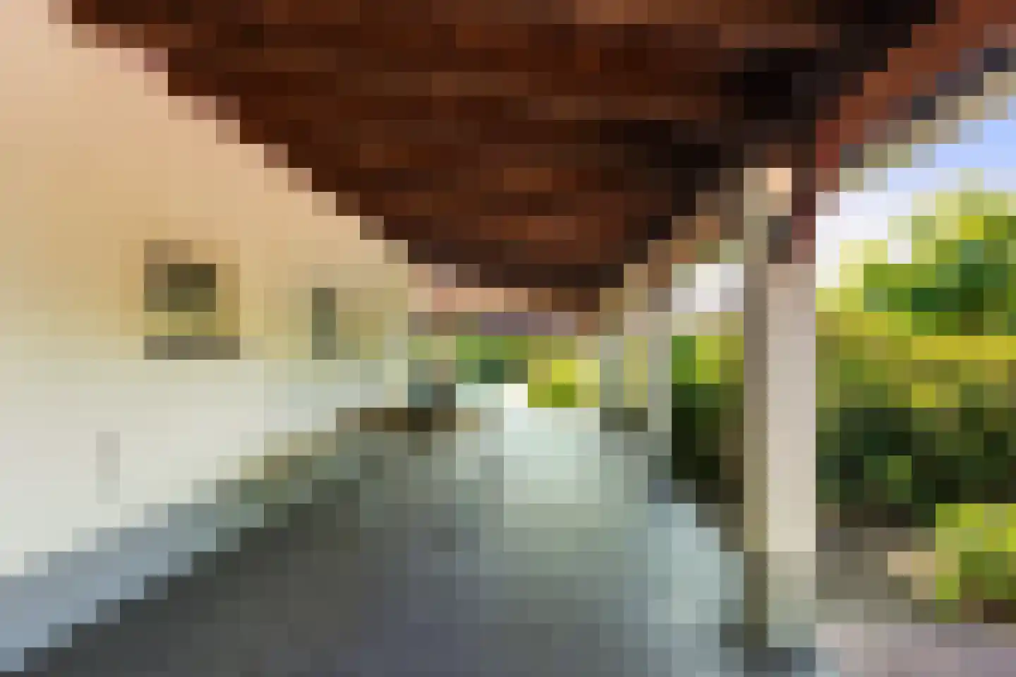 Wilgenweg 3 Waalwijk thumbnail 35
