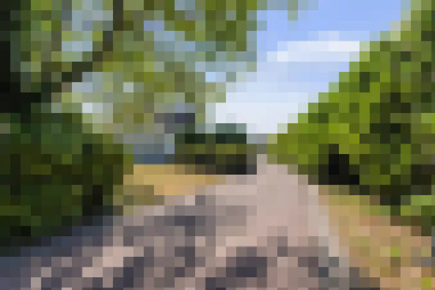 Wilgenweg 3 Waalwijk thumbnail 41