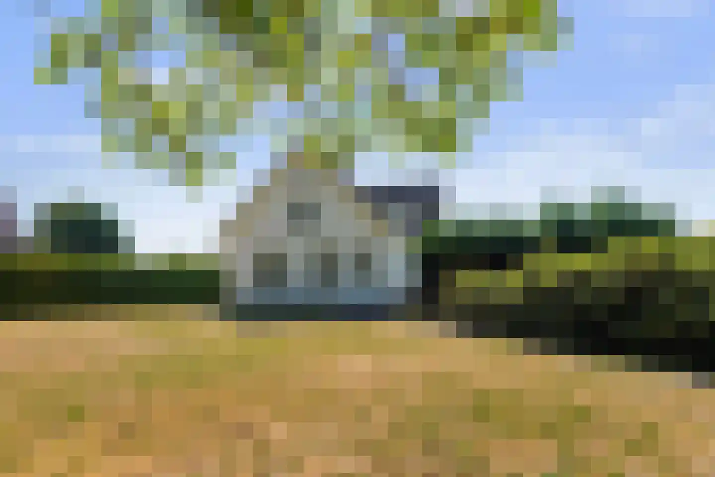 Wilgenweg 3 Waalwijk thumbnail 6