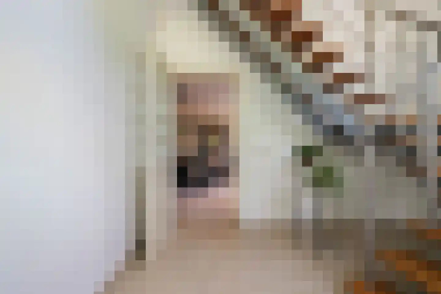 Wilgenweg 3 Waalwijk thumbnail 7